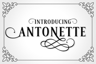 Antonette: A Luxurious Font for Timeless Design