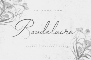 Boudelaire: A Timeless Script for Elegant Design