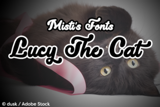 Lucy the Cat: A Bold Script Typeface for Modern Branding