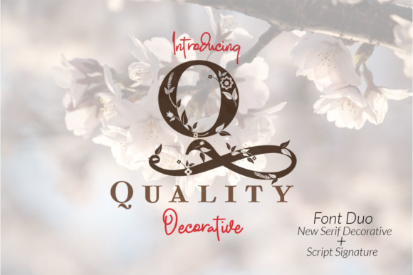 Quality: A Stunning Font for Creative Expression