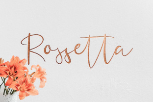 Rossetta: A Timeless Script for Modern Design