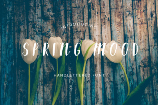 Spring Mood: A Fresh Approach to Typography in Your Workflow